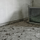 Illustration for article titled Two-Fifths of American Households Now Use Video Streaming Services